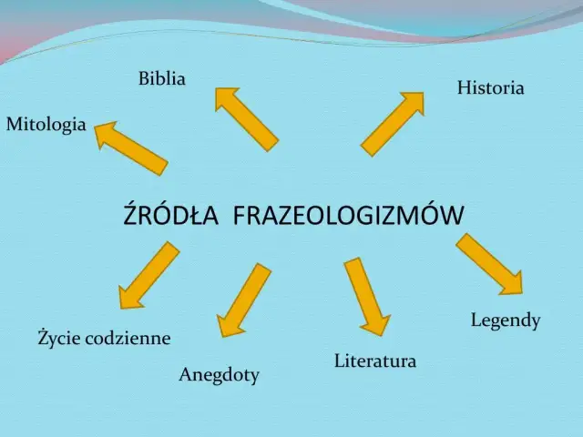 Wyjaśnij frazeologizm zatrzymać się w pół drogi - co to naprawdę znaczy?