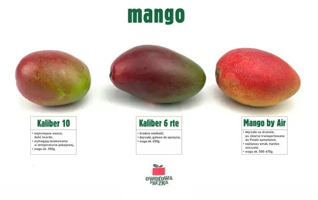 Ile kcal ma mango? Poznaj prawdziwą wartość energetyczną owocu