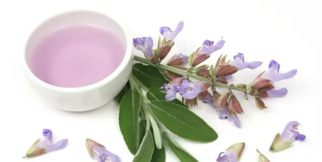 Szałwia dla dziecka od kiedy jest bezpieczna? Korzyści i przeciwwskazania dla dzieci