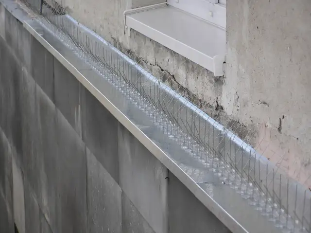 Skuteczne sposoby ochrony parapetu przed natrętami. Jak pozbyć się gołębi?