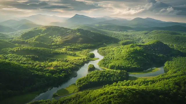 Bieszczady:Wspaniały raj dla miłośników przyrody i ciszy