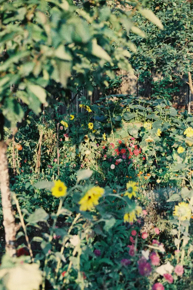 Stwórz ogród marzeń – bohaterowie z „zielonymi palcami” dzielą się trikami na oszczędzanie pieniędzy