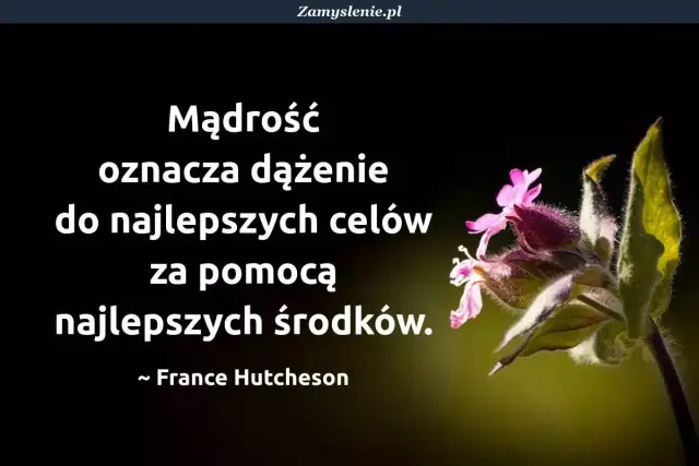 Mądrość syracha cytaty: dążenie do najlepszych celów najlepszymi środkami. Piękny kwiat na ciemnym tle.