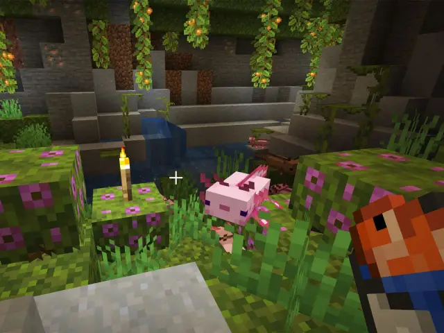Uroczy różowy axolotl w Minecraft eksploruje jaskinię z wodospadem i kwitnącymi blokami.
