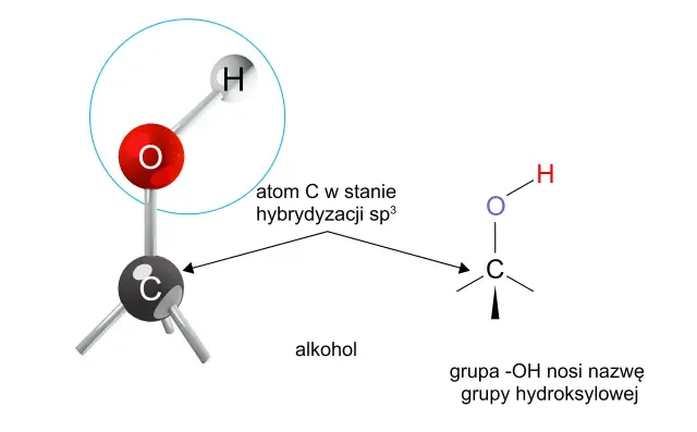 Schemat budowy cząsteczki alkoholu, pokazujący atom węgla w hybrydyzacji sp³ i grupę hydroksylową. Alkohole monohydroksylowe.