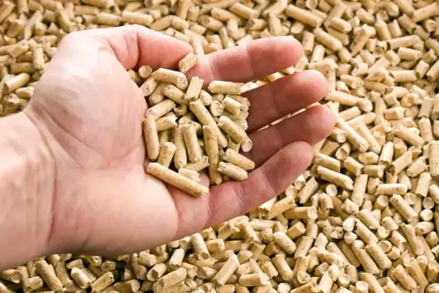 Dłoń trzyma garść pelletu drzewnego. Taki materiał opałowy jest coraz popularniejszy, a cena za tonę pelletu jest kluczowa dla wielu gospodarstw domowych.