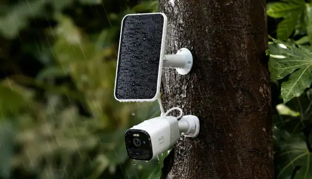 Kamera monitoringu z panelem solarnym na drzewie podczas deszczu. Zastanawiasz się, jaka karta SIM do kamery monitoringu będzie najlepsza?