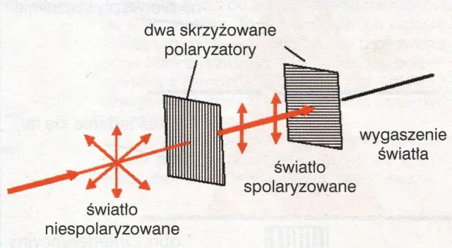 Ilustracja pokazuje, co to jest polaryzacja światła: niespolaryzowane światło przechodzi przez pierwszy polaryzator, staje się spolaryzowane, a następnie jest wygaszane przez drugi, skrzyżowany polaryzator.