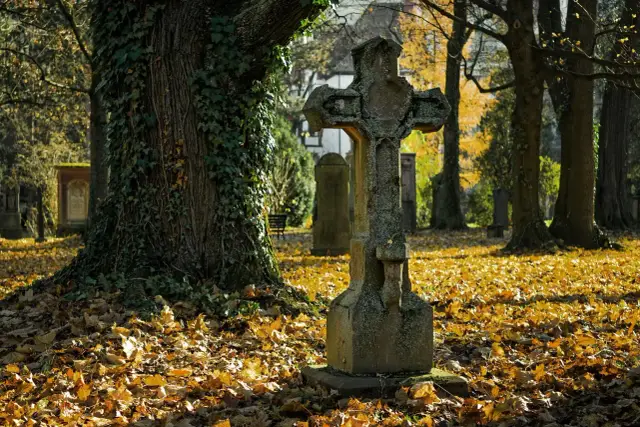 Kamienny krzyż na cmentarzu, jesienią. Czy można sprzedać miejsce na cmentarzu? Pytanie to zadaje sobie wielu, patrząc na te zadumane nagrobki.