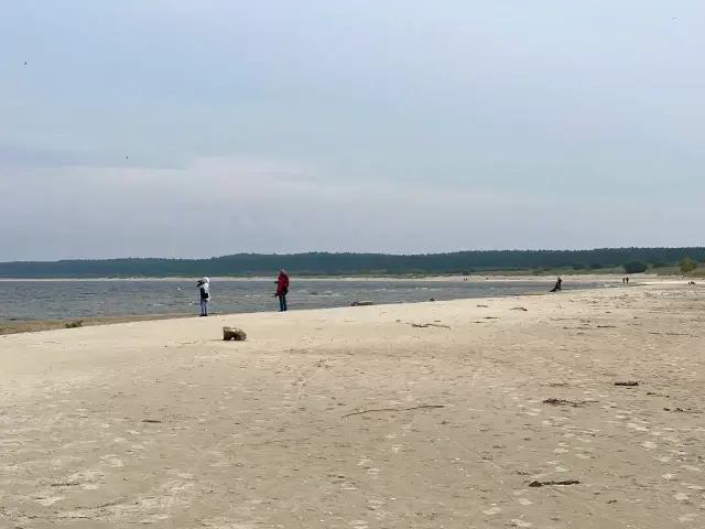 Spacer po plaży na Żuławach Wiślanych. W oddali las, woda i kilka osób podziwiających krajobraz. To jedne z wielu atrakcji tego regionu.