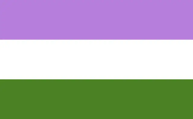 Flaga z trzema poziomymi pasami: fioletowym, białym i zielonym. Symbolizuje tożsamość genderqueer, wyrażając różnorodność i wolność od binarnych podziałów płci.