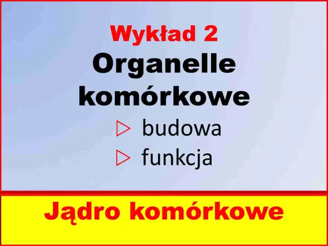Wykład 2: Organelle komórkowe - budowa i funkcja. Jądro komórkowe. Biologia budowa komórki.