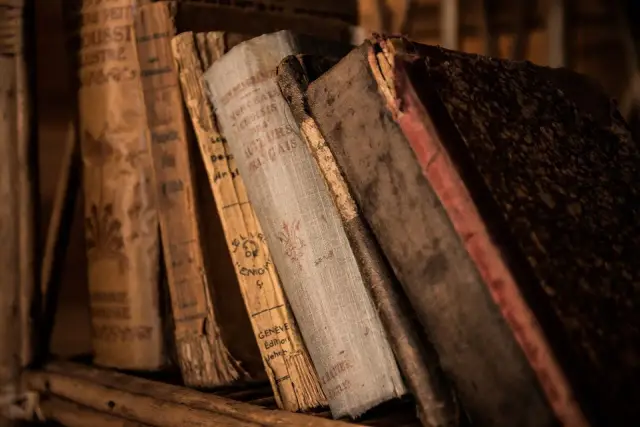 Stare księgi na półce, jakby zaginione z biblioteki aleksandryjskiej, szepczą historie.