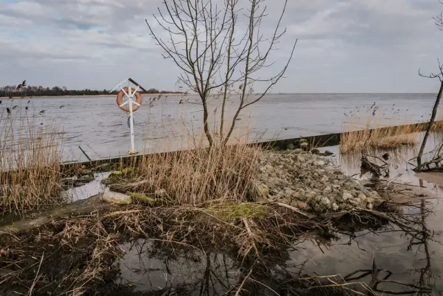 Surowe piękno ujścia Wisły. Sucha trawa, nagie drzewa i kamieniste nabrzeże tworzą melancholijny krajobraz.