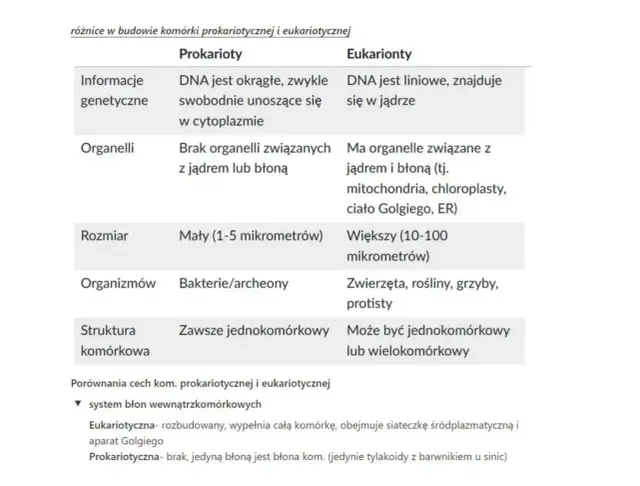 Tabela porównująca komórki prokariotyczne i eukariotyczne: DNA, organelle, rozmiar, organizmy, struktura komórkowa.