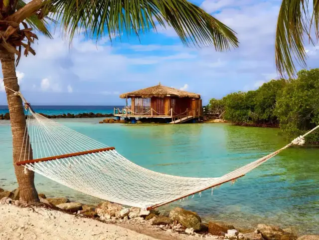 Huśtawka na plaży, idealna na aruba wakacje. W tle drewniana chata na wodzie i bujna zieleń.