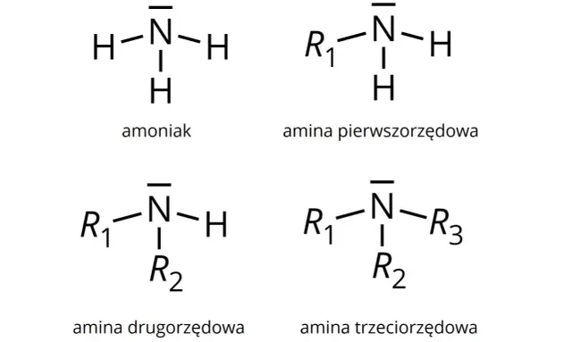 Schematy budowy amoniaku (NH₃) i amin: pierwszorzędowej, drugorzędowej i trzeciorzędowej.