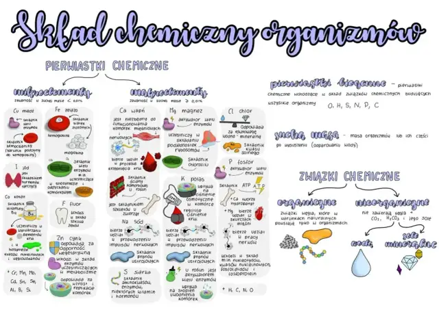 Pierwiastki chemiczne organizmów: mikro- i makroelementy, pierwiastki biogenne (O, H, S, N, P, C) oraz związki organiczne i nieorganiczne.