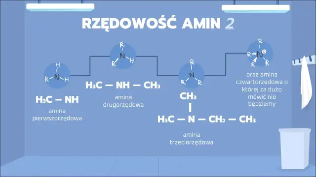 Schemat przedstawia rzędowość amin: pierwszorzędową (H3C-NH), drugorzędową (H3C-NH-CH3) i trzeciorzędową (H3C-N(CH3)-CH2-CH3).