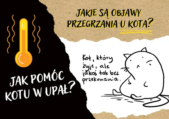 Ilustracja przedstawia termometr wskazujący wysoką temperaturę i smutnego kota.