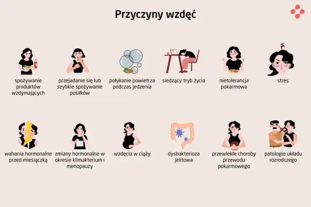 Ilustracja pokazuje przyczyny wzdęć, w tym jedzenie produktów wzdymających, przejadanie się, siedzący tryb życia, nietolerancję pokarmową, stres, zmiany hormonalne, ciążę, dysbakteriozę jelitową, choroby przewodu pokarmowego i problemy z układem rozrod...