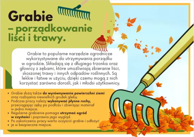 Jesienne porządki w ogrodzie z użyciem grabi. Narzędzie zbiera opadłe liście, ułatwiając utrzymanie czystości.