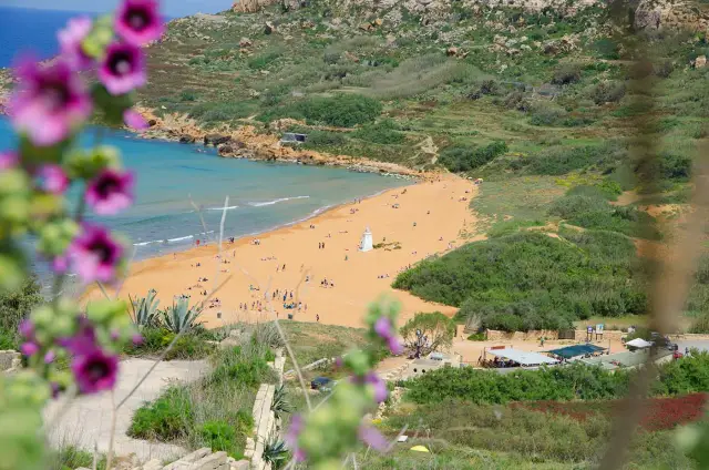 Malta w kwietniu zachwyca słoneczną pogodą. Złocista plaża, turkusowe morze i kwitnące kwiaty tworzą idylliczny krajobraz.