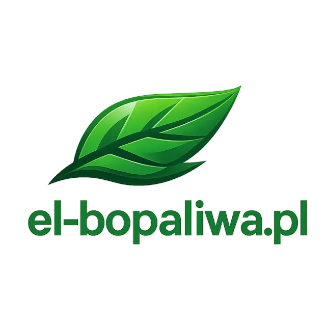 el-bopaliwa.pl