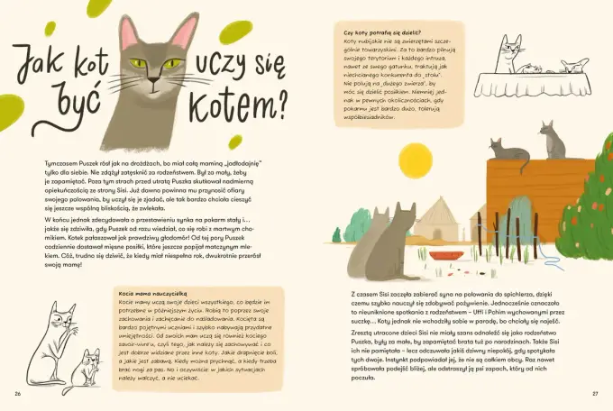 Koci chłopak - Poznaj jego znaczenie i odmiany w popkulturze
