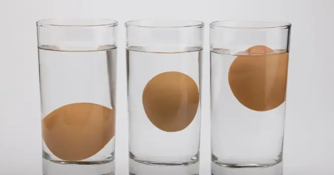 Jak sprawdzić świeżość jajek? Prosty poradnik