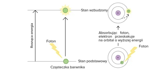 Foton i energia światła - jak to działa naprawdę?