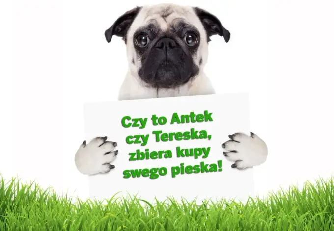 Wierszyki o pieskach: Rymowanki dla dzieci, klasyka i zabawa