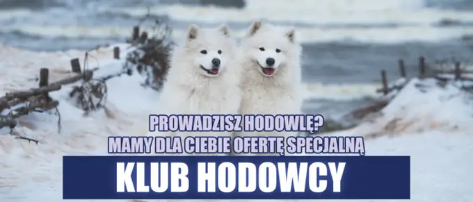 Kluby hodowców: jak znaleźć wsparcie i wiedzę?