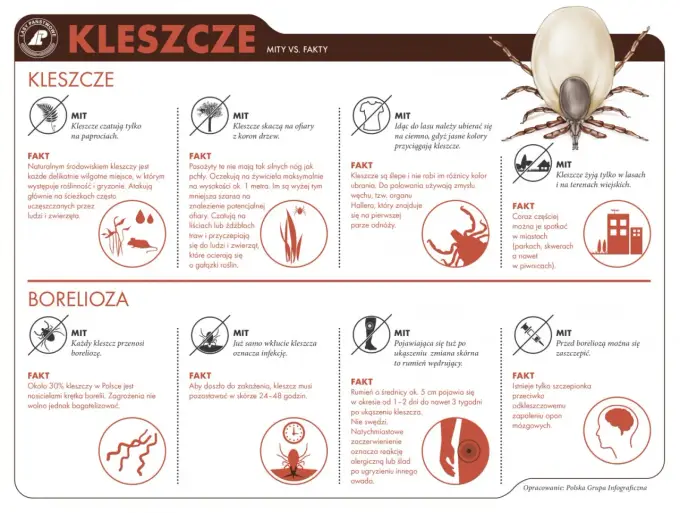 Kleszcze na biwaku - Co działa, a co tylko brzmi dobrze?