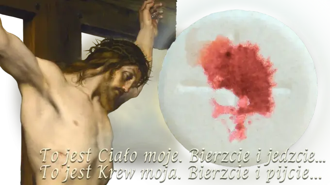 Cuda eucharystyczne - co mówią o realnej obecności?