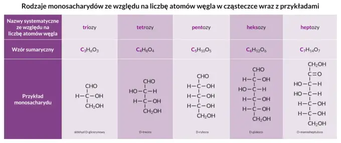 Monosacharydy - czym są i jak odróżnić je od cukrów złożonych?