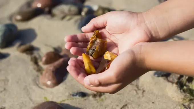 Jak znaleźć bursztyn na plaży? Skuteczne wskazówki i sekrety