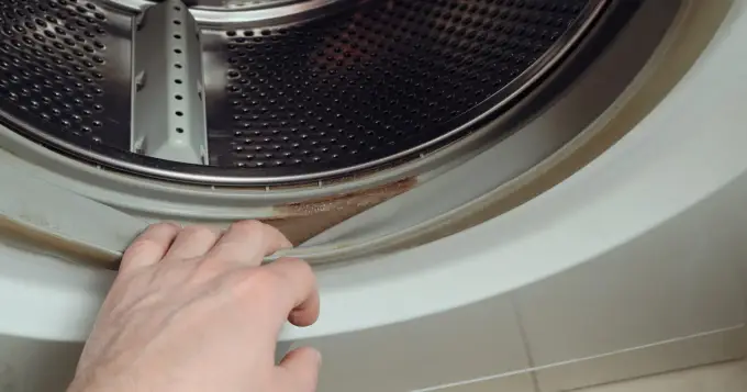 Jak wyczyścić uszczelkę pralki z pleśni bez jej uszkodzenia?