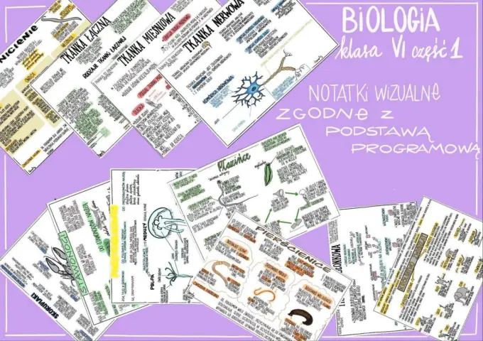 Zeszyt do biologii - Jaki wybrać, by notatki były czytelne?