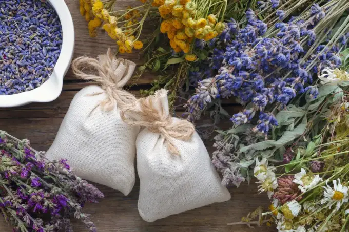 Linalool w kosmetykach - gdzie występuje i kiedy drażni?