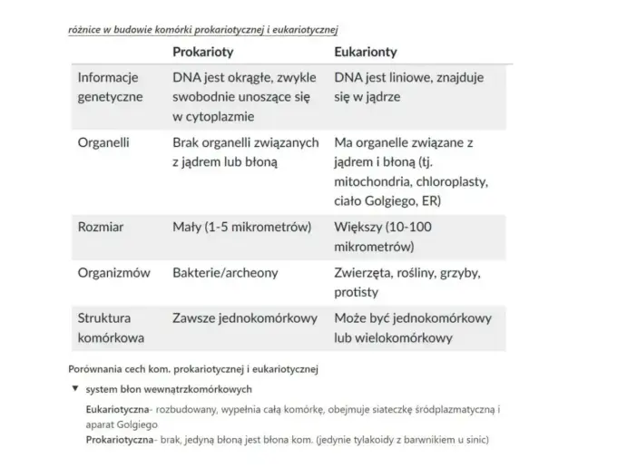 Komórki prokariotyczne i eukariotyczne - czy jądro to jedyna różnica?