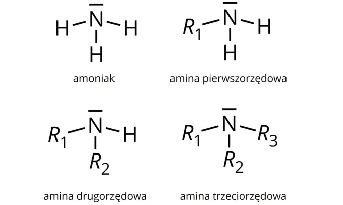 Amoniak NH3 - wzór, budowa i najważniejsze właściwości
