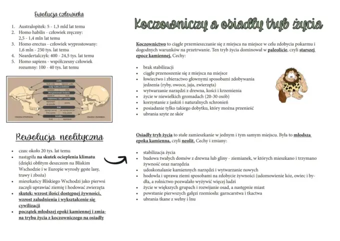 Bajkowe wiedźmy: sekrety, ewolucja i ich prawdziwe znaczenie