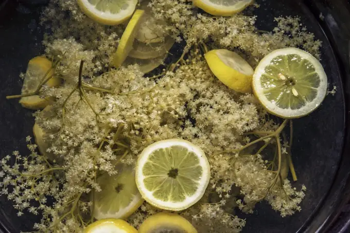 Domowy syrop z bzu do Hugo: przepis krok po kroku