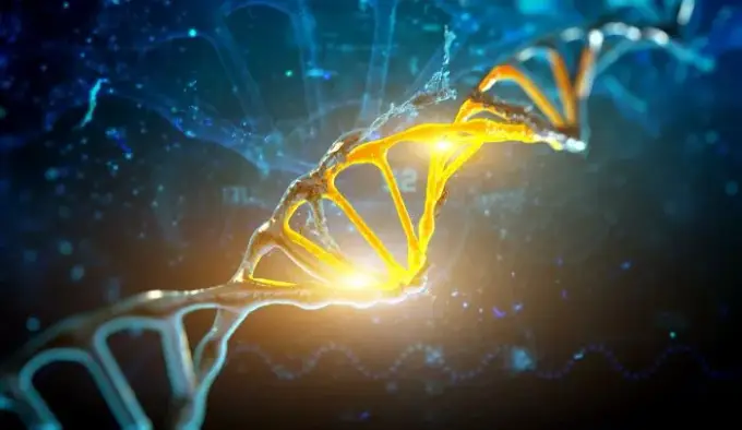Biologia: Czym jest genetyka i dlaczego jest tak ważna?
