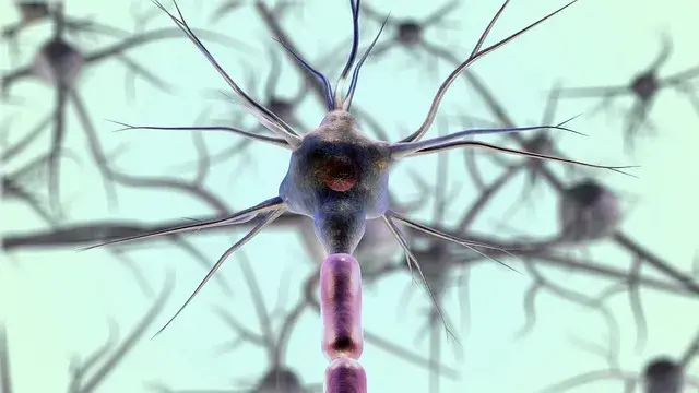 Neurolog od czego to lekarz i kiedy warto się do niego zgłosić