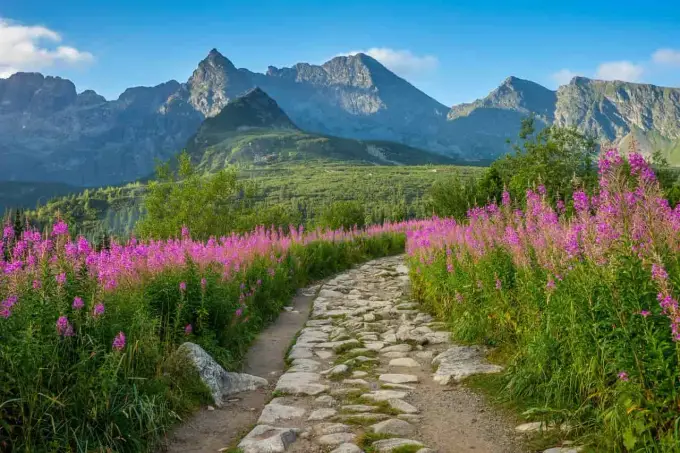 Tatry słowackie - Ubezpieczenie, które ratuje życie i portfel