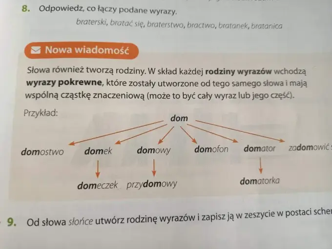 Rodzina wyrazów - jak rozpoznać słowa pokrewne?
