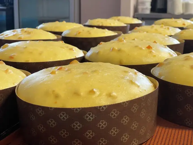 Panettone w domu - Odkryj sekret włoskiego symbolu Świąt