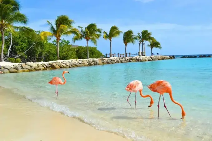 Aruba bez stresu - praktyczny plan wyjazdu od plaż po Arikok